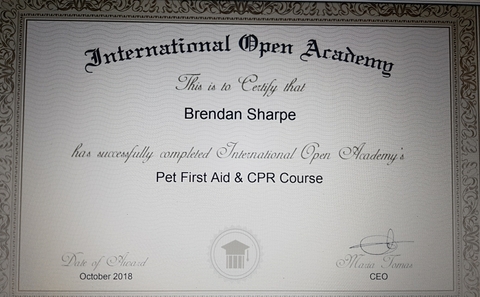 First aid and cpr certificate