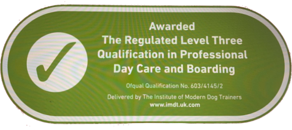 Regulation level 3 in professional day care and boarding